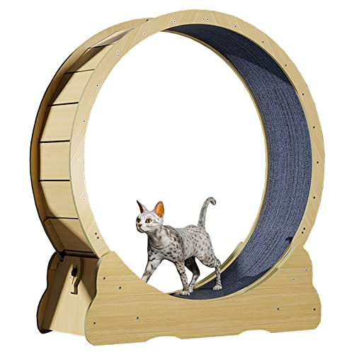 /Katzenlaufband mit Teppichboden, Laufrad für Katzenspielzeug/Interaktives Katzenspielzeug – gegen Langeweile, natürliche Holzfarbe von DIIDIIFF