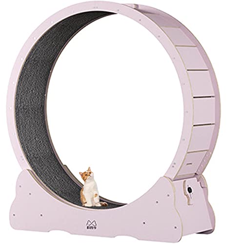 Katzenlaufrad, Katzenlaufband, Übungsrad, niedliche Katzenmöbel, Haustierspielzeug, Katzenspielzeug, Gewichtsverlustgerät für Katzen, XL-Pink von DIIDIIFF