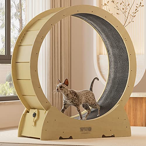 Laufband für Katzen, Holzlaufband mit Klettverschluss, Bremse, sanft und leise für energiegeladene Katzen, Anti-Einklemm-Design von DIIDIIFF