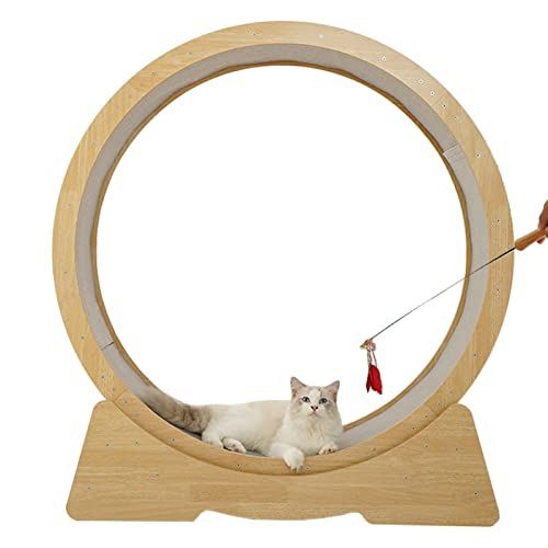 Natürliches, geräuschloses Katzenlaufband für Indoor-Katzen und Hamster, Robustes kleines/mittleres Haustier, frei laufendes Katzen-Fitness-Riesenrad von DIIDIIFF