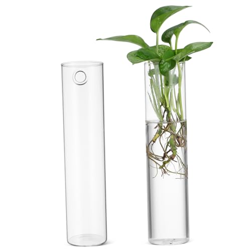 DIKACA 2St Wandvase Vasen Vase für vermehrte Pflanzen Bodenvase blumenarrangement Glaswaren einmachgläser kleiderbügel Halter für Wasserpflanzen Hängende Vermehrungsstationen Transparent von DIKACA