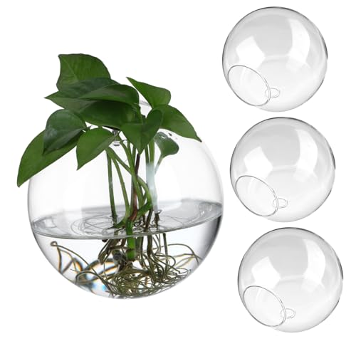 DIKACA 4 Stück Glasvase Pflanzgefäße Zum Aufhängen An Der Wand Terrarienschale Aus Glas Glaskolbenvase Tischpflanzenterrarium Wasserpflanzenhalter Terrarienvase Sukkulenten Büro Anzeige von DIKACA