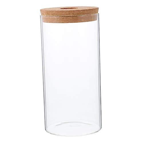 DIKACA Aquarium Kaktuspflanze dekorative Landschaftsflasche Vase Ornament Flasche Moospflanze Moos-Landschaftsbauflasche Glas Container Sukkulenten Mikro-Landschaftsflasche Dekorationen von DIKACA