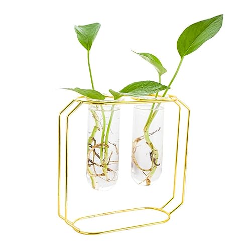 DIKACA Blumen Pflanzer Set 2 Teiliges Terrarium Mit Eisenrahmen Stylische Pflanzenvase Für Home Dekoration Hydroponische Tischvase Für Wohnzimmer Und Büro von DIKACA