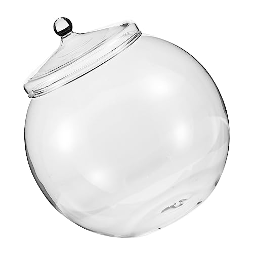 DIKACA DIY Moos Öko Glasgefäß Mit Deckel Terrarium Für Sukkulenten Und Pflanzen Dekorative Glasflasche Durchmesser Ideal Für Schreibtisch Oder Als von DIKACA