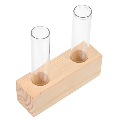 DIKACA Hydroponische Glasvase Für Pflanzen Transparente Desktop Pflanzenvase Dekorative Terrarienvase Für Büro Und Zuhause Ideal Für Die Anzucht Von Zimmerpflanzen Und Blumen von DIKACA