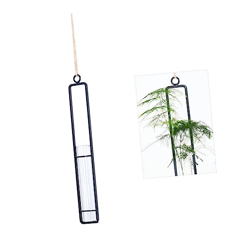 DIKACA Kreativer Wandblumenhalter Aus Mit Hydroponikvase Transparente Hängende Blumentesttube Für Die Heimdekoration Inklusive Hanfseil von DIKACA