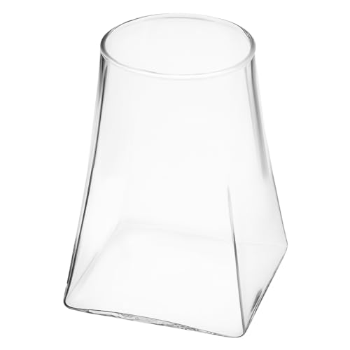 DIKACA Ökologische Mikrolandschaftsflasche Leeres Terrarium Vasentopf Mikro-landschaftsflasche Pflanzenbehälter Pflanzenterrarium Pflanzen Terrarium Glas von DIKACA