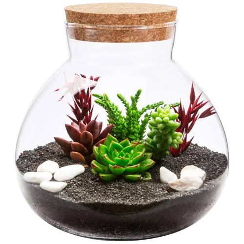 DIKACA Runder Glasbehälter Für Mikrolandschaften Ökologische Flasche Mit Korken 15cm x Ideal Für Terrarien Und Kreative Dekorationen Geschlossener Glasbehälter Ohne Licht von DIKACA