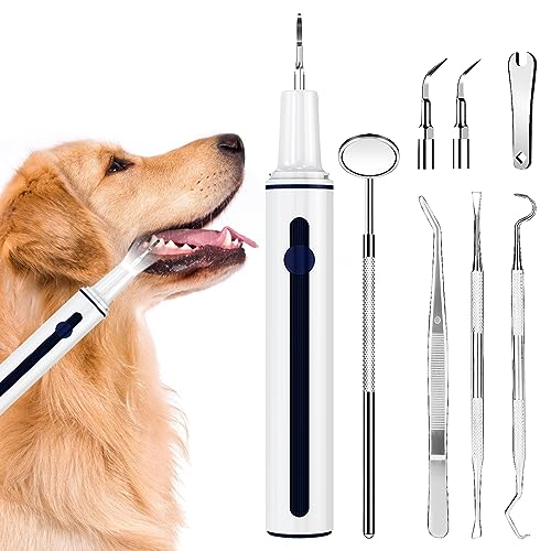DIKHEE Zahnreinigung für Hunde, Elektrische Haustierzahnbürste, Ultraschall Zahnreiniger für Hund und Katze, Zahnpflege für Haustiere mit 3 austauschbare Köpfe und Mundspiegel – Weiß von DIKHEE
