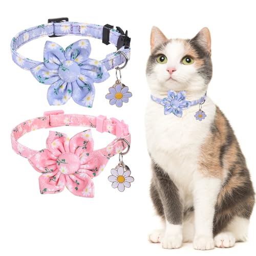 DILLYBUD 2 Stück Katzenhalsband mit Glöckchen, verstellbare Blumenhalsbänder mit niedlichem Zubehör für Kätzchen, abnehmbares Katzenhalsband mit Blume, für Jungen, Mädchen, Katzen, Welpen, von DILLYBUD