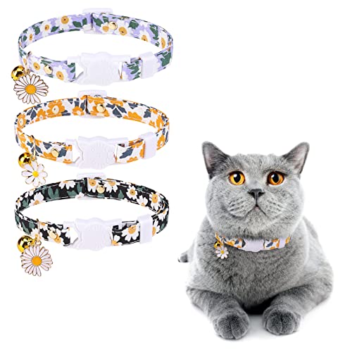 DILLYBUD Breakaway Katzenhalsbänder mit Glocken und Anhängern, personalisierbar, verstellbare Sicherheitsschnalle, Halsband für Kätzchen, Katzen, Mädchen und Jungen von DILLYBUD