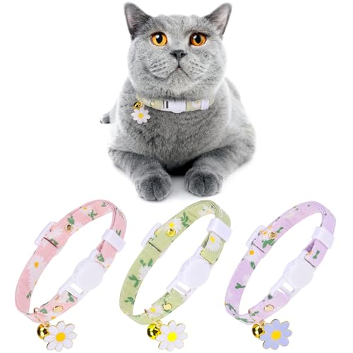 DILLYBUD Breakaway Katzenhalsband mit Glöckchen und Anhängern, personalisierbar, verstellbare Sicherheitsschnalle, Halsband für Kätzchen, Katzen, Mädchen und Jungen von DILLYBUD