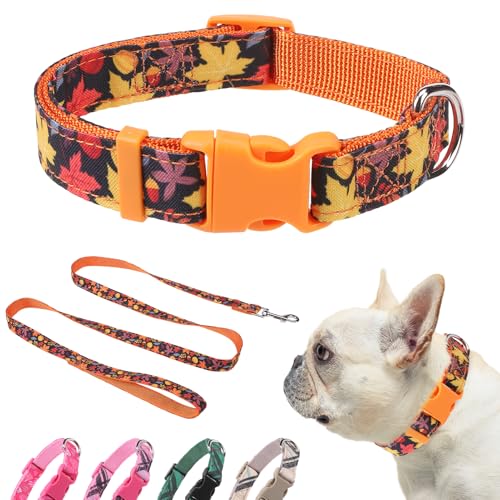 DILLYBUD Hundehalsband für den Herbst, kleines Hundehalsband und Leine, mit Schnellverschluss-Schnalle, verstellbare Nylon-Haustierhalsbänder mit Leinen für Spaziergänge, Spielen, Training von DILLYBUD