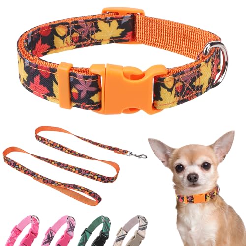 DILLYBUD Hundehalsband für den Herbst, kleines Hundehalsband und Leine, mit Schnellverschluss-Schnalle, verstellbare Nylon-Haustierhalsbänder mit Leinen für Spaziergänge, Spielen, Training von DILLYBUD