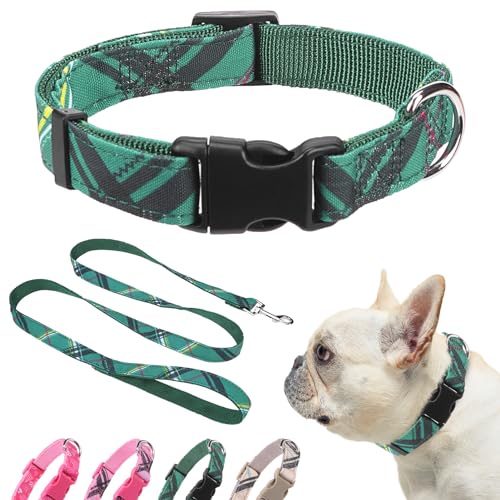 DILLYBUD Hundehalsband und Leine, Hundehalsband für kleine und mittelgroße Hunde, verstellbares Nylon-Welpenhalsband mit Schnalle für Hündinnen, kariert, mit Liebesmuster, für Sommer, Frühling, von DILLYBUD