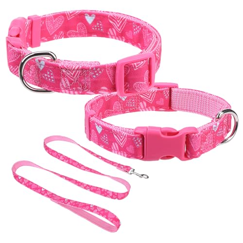 DILLYBUD Hundehalsband und Leine, Hundehalsband für kleine und mittelgroße Hunde, verstellbares Nylon-Welpenhalsband mit Schnalle für weibliche Hunde, kariert, gemustert, für Sommer, Frühling, von DILLYBUD