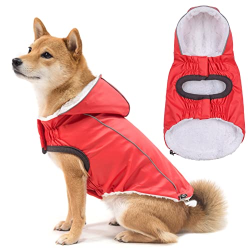 DILLYBUD Winter-Hunde-Regenmanteljacke, wasserdichter Kapuzen-Poncho mit Fleece-Futter und Loch für die Leine für kleine bis große Hunde und Welpen, Jungen und Mädchen, rot, L von DILLYBUD