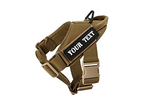 Dingo Gear Arbeitsgeschirr für Hunde in der Arbeit Training handgefertigt Farbe Coyote Braun M Personalisierung Inschrift AM03189 von DINGO GEAR WWW.DINGOGEAR.COM 1977