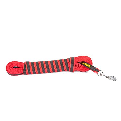 Dingo Gear Arbeitsleine,Gurtband Polypropylene ohne Griff Schwarz-Rot Länge 10,5 m Breite 2,0 cm wasserfest Training große stark Hunde S03622 von DINGO GEAR WWW.DINGOGEAR.COM 1977