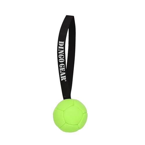 Dingo Gear Ball mit Schlaufe gefüllt vollball aus Eco Leder Durchmesser von 8 cm Hundespielzeug Trainings Ball Hundetraining Spaß für Hund Grün Neon S02685 von DINGO GEAR WWW.DINGOGEAR.COM 1977