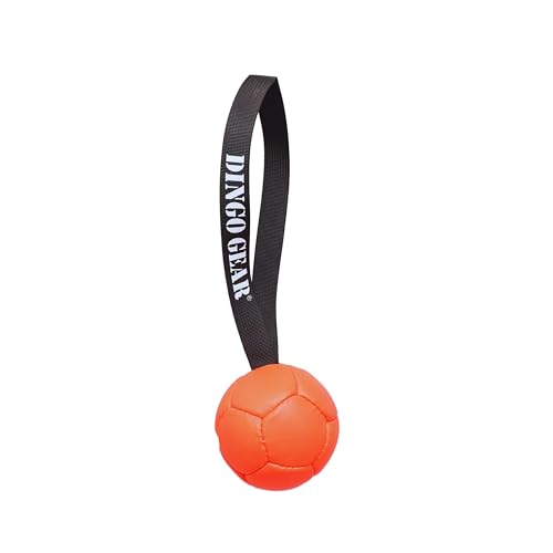 Dingo Gear Ball mit Schlaufe gefüllt vollball aus Eco Leder Durchmesser von 8 cm Hundespielzeug Trainings Ball Hundetraining Spaß für Hund Orange S02684 von DINGO GEAR WWW.DINGOGEAR.COM 1977