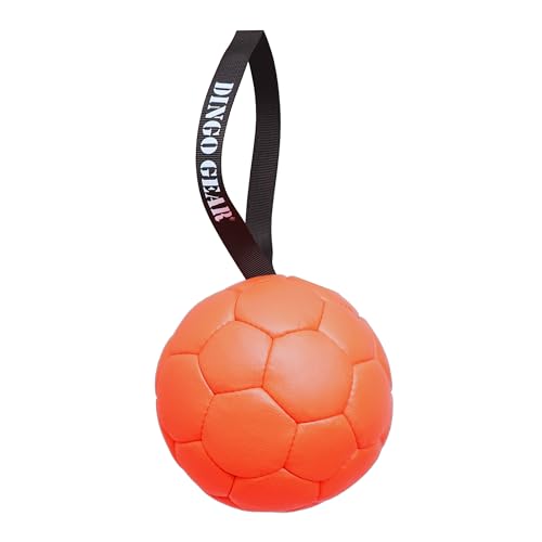 Dingo Gear Ball mit Schlaufe gefüllt vollball aus Eco Leder Durchmesser von 18 cm Hundespielzeug Trainings Ball Hundetraining Spaß für Hund Orange S02698 von DINGO GEAR WWW.DINGOGEAR.COM 1977