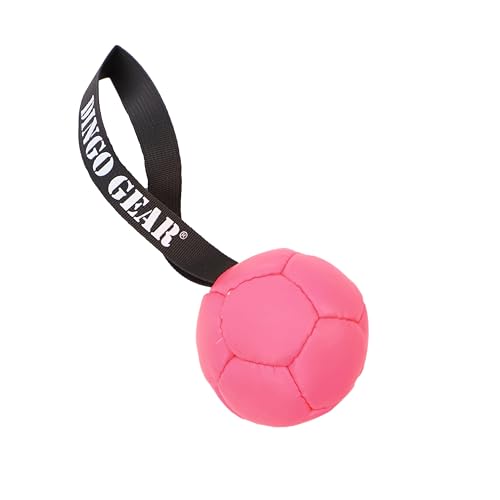 Dingo Gear Ball mit Schlaufe gefüllt vollball aus Eco Leder Durchmesser von 8 cm Hundespielzeug Trainings Ball Hundetraining Spaß für Hund Rosa S02681 von DINGO GEAR WWW.DINGOGEAR.COM 1977