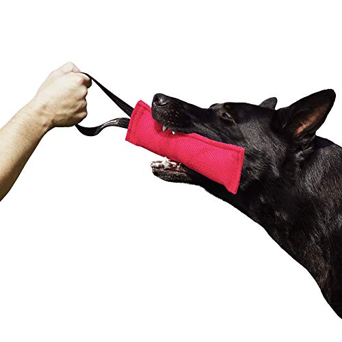 Dingo Gear Baumwolle-Nylon Beißwurst für Hundetraining IGP IPO Obiedence Schutzhund Hundesport 28 x 7 cm, 1 Griff Rosa S00309 von DINGO GEAR WWW.DINGOGEAR.COM 1977