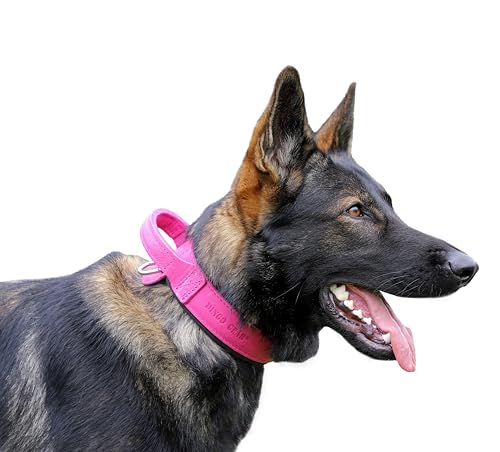 Dingo Gear Drago Lederhundehalsband, amortisiert mit starkem breiten Griff, handgefertigt, Halsumfang 40-48 cm, für Training und Spaziergänge, Zugschutz, weiche Polsterung,Rosa (S03914) von DINGO GEAR WWW.DINGOGEAR.COM 1977