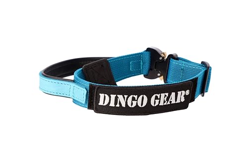 Dingo Gear Hundehalsband Cobra mit professioneller Sicherheitsschnalle starkem Griff und Etikett mit Klettverschluss für Verteidigungstraining Halsumfang 43-47 cm Meerblau (S03927) von DINGO GEAR WWW.DINGOGEAR.COM 1977