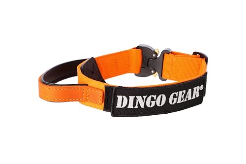 Dingo Gear Hundehalsband Cobra mit professioneller Sicherheitsschnalle starkem Griff und Etikett mit Klettverschluss für Verteidigungstraining Halsumfang 43-47 cm Orange (S03926) von DINGO GEAR WWW.DINGOGEAR.COM 1977