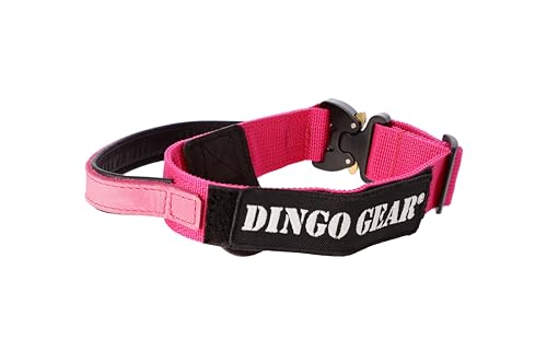 Dingo Gear Hundehalsband Cobra mit professioneller Sicherheitsschnalle starkem Griff und Etikett mit Klettverschluss für Verteidigungstraining Halsumfang 43-47 cm Rosa (S03928) von DINGO GEAR WWW.DINGOGEAR.COM 1977