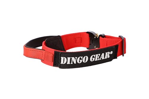 Dingo Gear Hundehalsband Cobra mit professioneller Sicherheitsschnalle starkem Griff und Etikett mit Klettverschluss für Verteidigungstraining Halsumfang 43-47 cm Rot (S03925) von DINGO GEAR WWW.DINGOGEAR.COM 1977