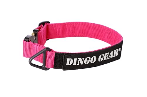 Dingo Gear Hundehalsband Cobra mit professioneller Sicherheitsschnalle und Etikett mit Klettverschluss, zuverlässiges Halsband für Verteidigungstraining Halsumfang 45-63 cm Rosa (S03940) von DINGO GEAR WWW.DINGOGEAR.COM 1977