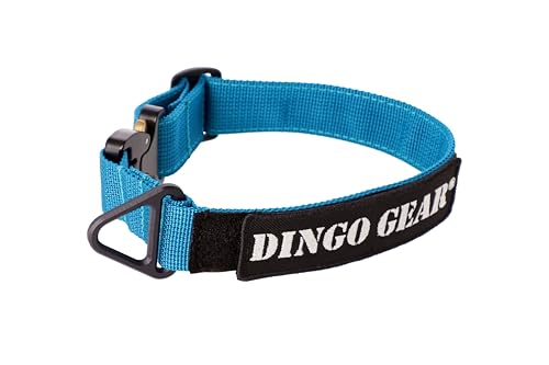 Dingo Gear Hundehalsband Cobra mit professioneller Sicherheitsschnalle und Etikett mit Klettverschluss zuverlässiges Halsband für Verteidigungstraining Halsumfang 38-48 cm Meerblau (S03935) von DINGO GEAR WWW.DINGOGEAR.COM 1977