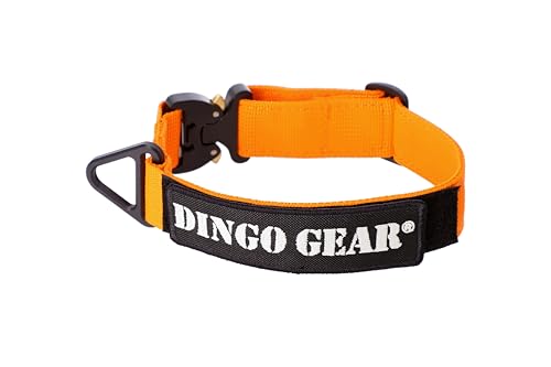 Dingo Gear Hundehalsband Cobra mit professioneller Sicherheitsschnalle und Etikett mit Klettverschluss zuverlässiges Halsband für Verteidigungstraining Halsumfang 38-48 cm Orange (S03934) von DINGO GEAR WWW.DINGOGEAR.COM 1977