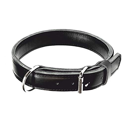 Dingo Gear Hundehalsband Leder MAX Extrem stark und langlebig Schwarz Große 40-48 cm S04030 von DINGO GEAR WWW.DINGOGEAR.COM 1977