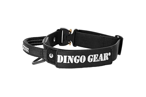 Dingo Gear Hundehalsband mit COBRA Schnalle und Griff, Farbe Schwarz, Band Breite 4 cm Länge 43-47 cm S04026 von DINGO GEAR WWW.DINGOGEAR.COM 1977