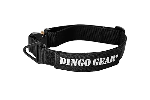 Dingo Gear Hundehalsband mit Cobra Schnalle, Farbe Schwarz, Band Breite 4 cm Länge 38-48 cm S04028 von DINGO GEAR WWW.DINGOGEAR.COM 1977