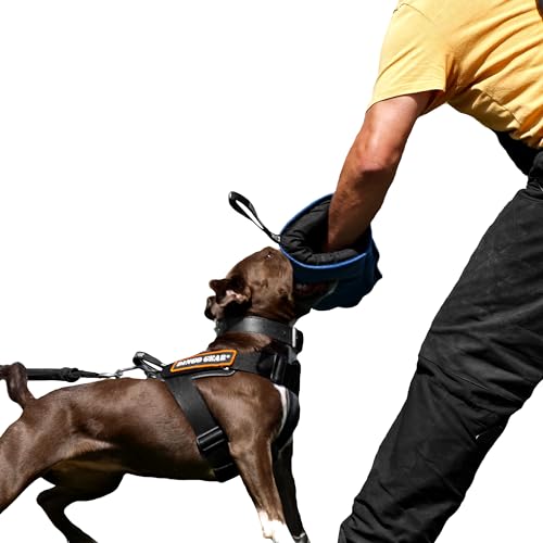 Dingo Gear Schutzarm Extern Mini Soft Weich aus Nylcot Blau Bissmanschette Hundeausbildung Hundetraining Bisstraining S01962 von DINGO GEAR WWW.DINGOGEAR.COM 1977