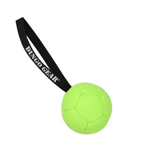 Dingo Gear Set Ball aufblasbarer mit Pumpe Ball mit Schlaufe aus Eco Leder Durchmesser von 13 cm Hundespielzeug Trainings Ball Hundetraining Spaß für Hund Grün Neon Z30032 von DINGO GEAR WWW.DINGOGEAR.COM 1977