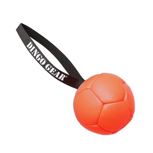 Dingo Gear Set Ball aufblasbarer mit Pumpe Ball mit Schlaufe aus Eco Leder Durchmesser von 13 cm Hundespielzeug Trainings Ball Hundetraining Spaß für Hund Orange Z30031 von DINGO GEAR WWW.DINGOGEAR.COM 1977