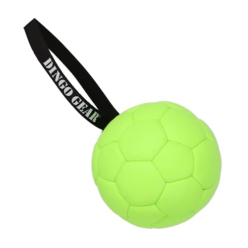 Dingo Gear Set Ball aufblasbarer mit Pumpe Ball mit Schlaufe aus Eco Leder Durchmesser von 18 cm Hundespielzeug Training Spaß für Hund Grün Neon Z30034 von DINGO GEAR WWW.DINGOGEAR.COM 1977