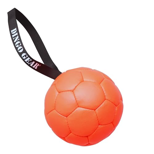 Dingo Gear Set Ball aufblasbarer mit Pumpe Ball mit Schlaufe aus Eco Leder Durchmesser von 18 cm Hundespielzeug Trainings Ball Hundetraining Spaß für Hund Orange Z30033 von DINGO GEAR WWW.DINGOGEAR.COM 1977