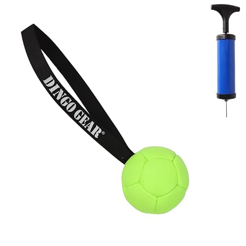 Dingo Gear Set Ball aufblasbarer mit Pumpe Ball mit Schlaufe aus Eco Leder Durchmesser von 8 cm Hundespielzeug Trainings Ball Hundetraining Spaß für Hund Grün Neon Z30030 von DINGO GEAR WWW.DINGOGEAR.COM 1977