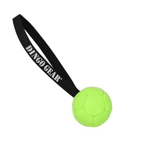 Dingo Gear Set Ball aufblasbarer mit Pumpe Ball mit Schlaufe aus Eco Leder Durchmesser von 8 cm Hundespielzeug Trainings Ball Hundetraining Spaß für Hund Grün Neon Z30030 von DINGO GEAR WWW.DINGOGEAR.COM 1977