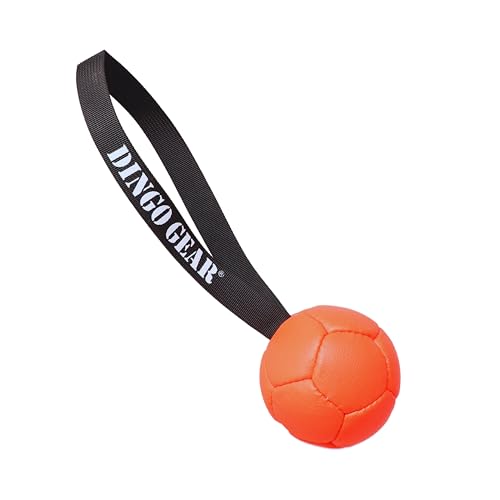 Dingo Gear Set Ball aufblasbarer mit Pumpe Ball mit Schlaufe aus Eco Leder Durchmesser von 8 cm Hundespielzeug Training Spaß für Hund Orange Z30029 von DINGO GEAR WWW.DINGOGEAR.COM 1977