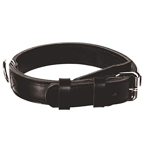 Dingo Gear Zivilist Halsband aus Leder Schwarz Rindsleder Große 40-48 cm S04040 von DINGO GEAR WWW.DINGOGEAR.COM 1977