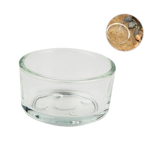 DINHEAROM 4stücke Teiliges Pet Reptilien Futter Und Wassernapf Transparente Glas-schüssel Für Schildkröten Eidechsen Und Andere Reptilien Langlebig Und Leicht Zu Reinigen Für Futter Und DINHEAROM 4stücke Teiliges Pet Reptilien Futter Und Wassernapf Transparente Glas-schüssel Für Schildkröten Eidechsen Und Andere Reptilien Langlebig Und Leicht Zu Reinigen Für Futter Und von DINHEAROM